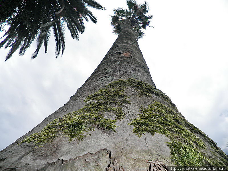 Подводя итоги... Мой 2012