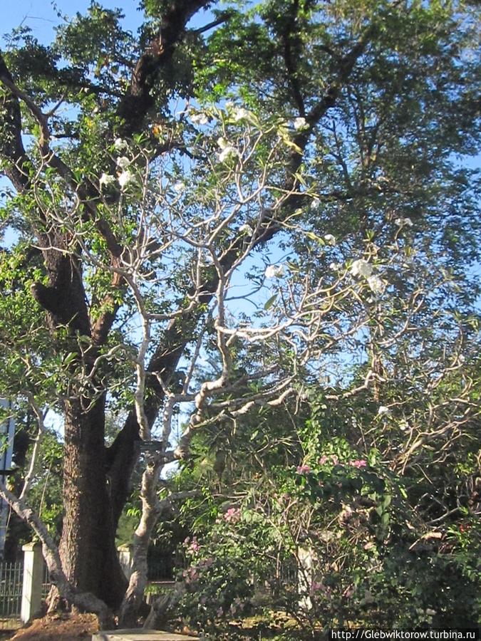 Университеты Янгона Янгон, Мьянма