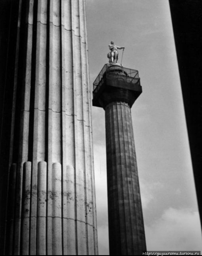 фото из интернета фото из интернета