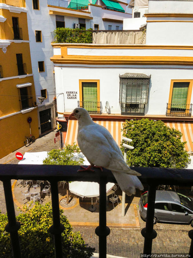 Севилья. Город пяти чувств Севилья, Испания