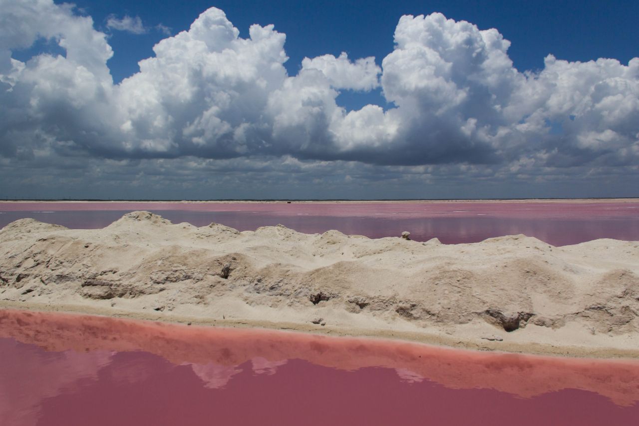 Розовые озёра Лас Колорадас (Las Coloradas). Заповедник Рио Лагартос. Рио-Лагартос Национальный Парк, Мексика