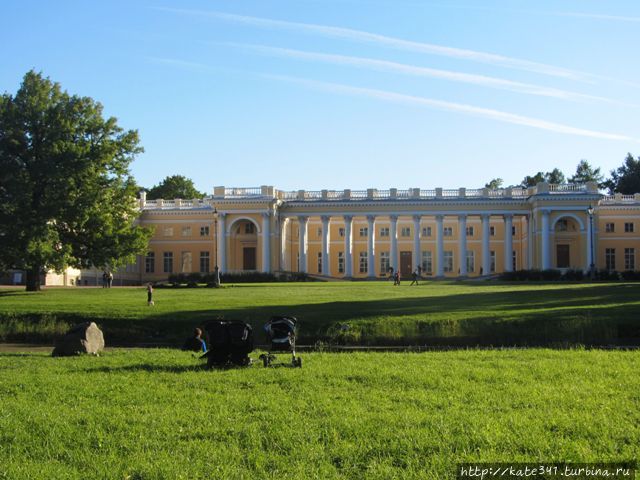 В стране берёзок, прохладного лета, селёдки и ОМС. Часть 1 Санкт-Петербург, Россия