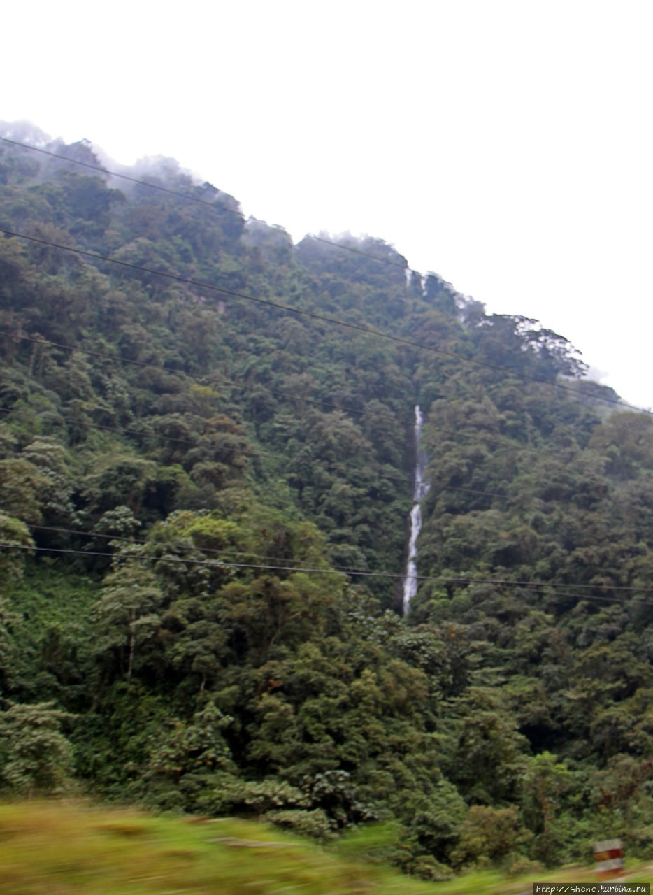 N.P. Cayambe-Coca — горы, реки, водопады. Дорога в облаках Кайамбе-Кока Экологический Заповедник, Эквадор