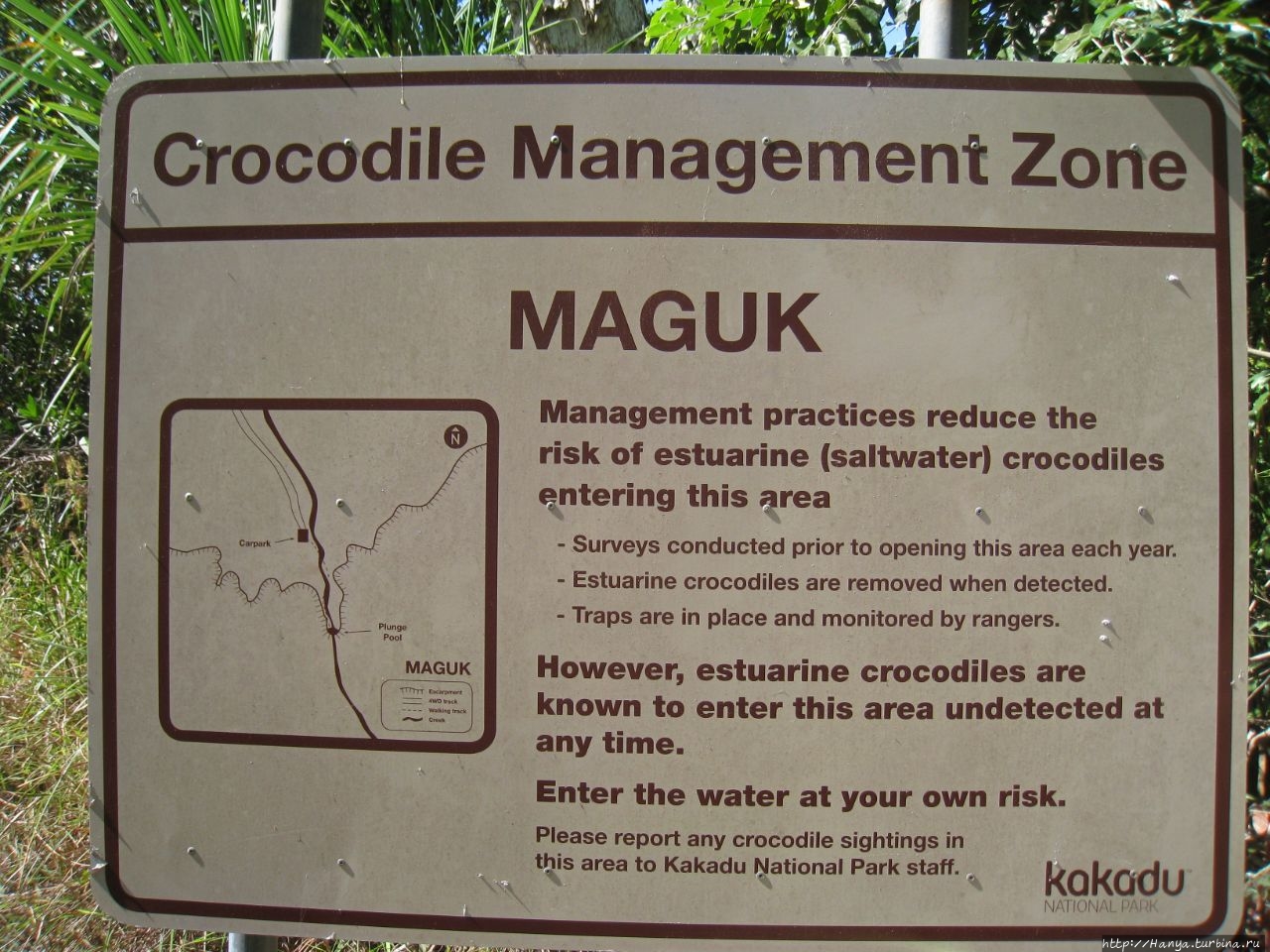 Водопад Магук Ущелье Магук Баррамунди, Австралия