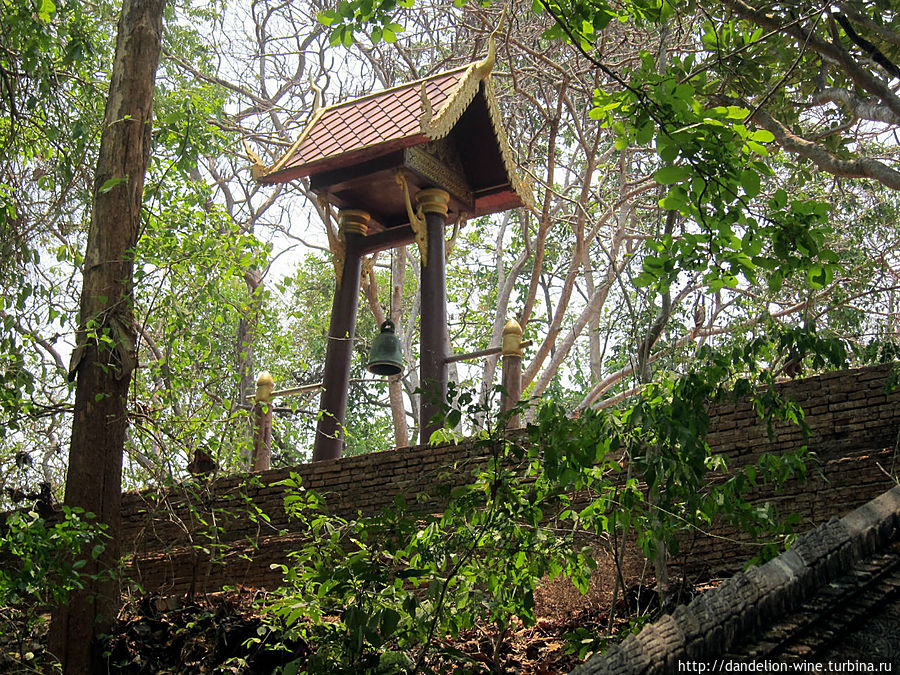 Лесной монастырь Ват Умонг (Wat Umong) Чиангмай, Таиланд