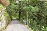 9.  Дорога вниз представляет собой серпантин вдоль склона, окружённый лесом. У него утомительно длинные колена, сильно удлиняющие путь.
