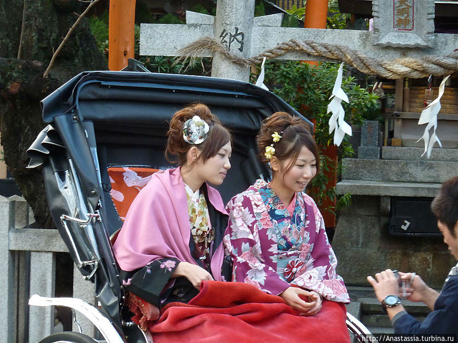 Цапли и девушки Киото, Япония