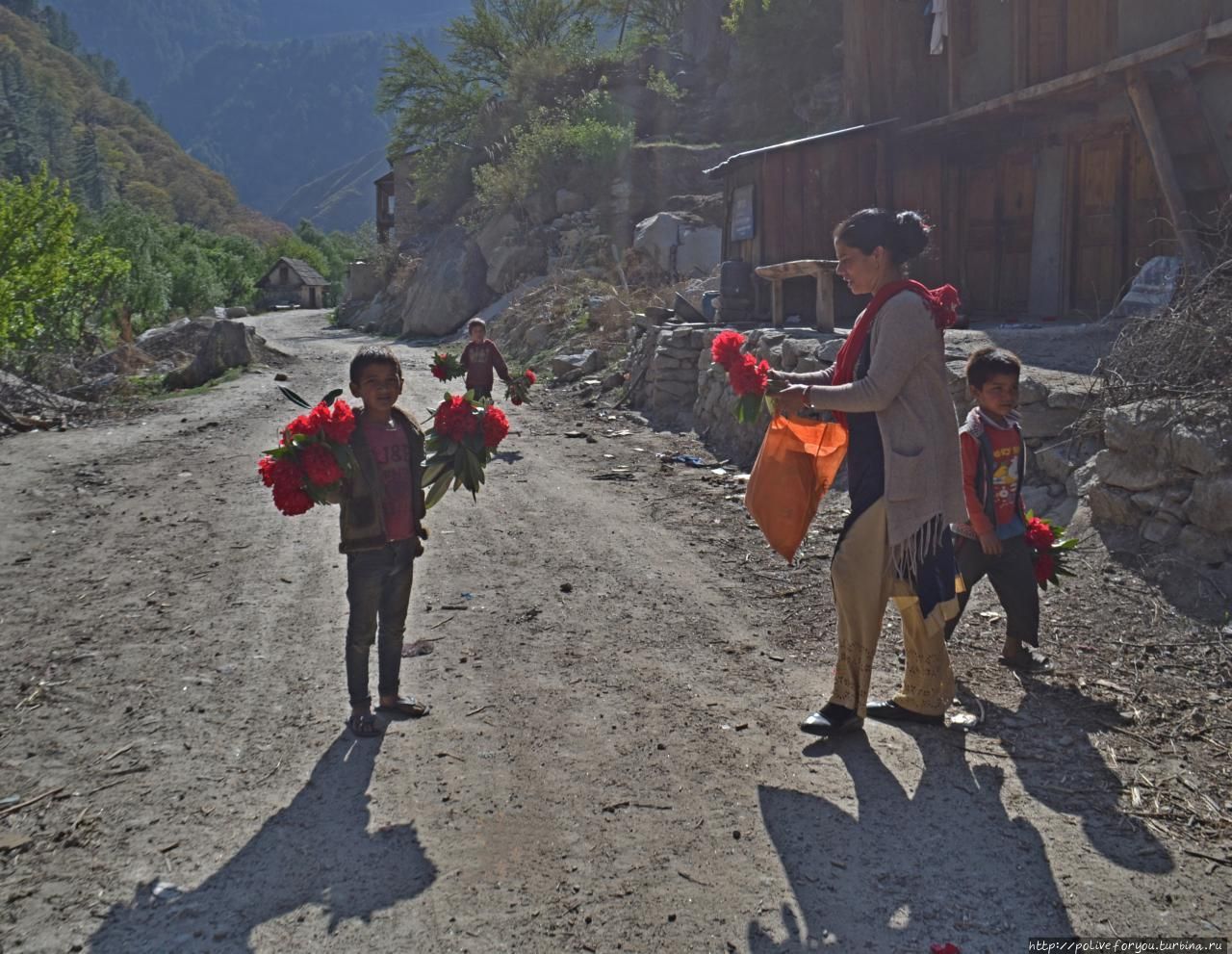 Мототрип Индия — Непал /ГИМАЛАИ/ День 39-й Зона Карнали, Непал