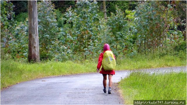 Love is…6 летию знакомства с мужем посвящается Букараманга, Колумбия