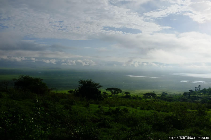 Нгоронгоро кратер вулкана Нгоронгоро (заповедник в кратере вулкана), Танзания
