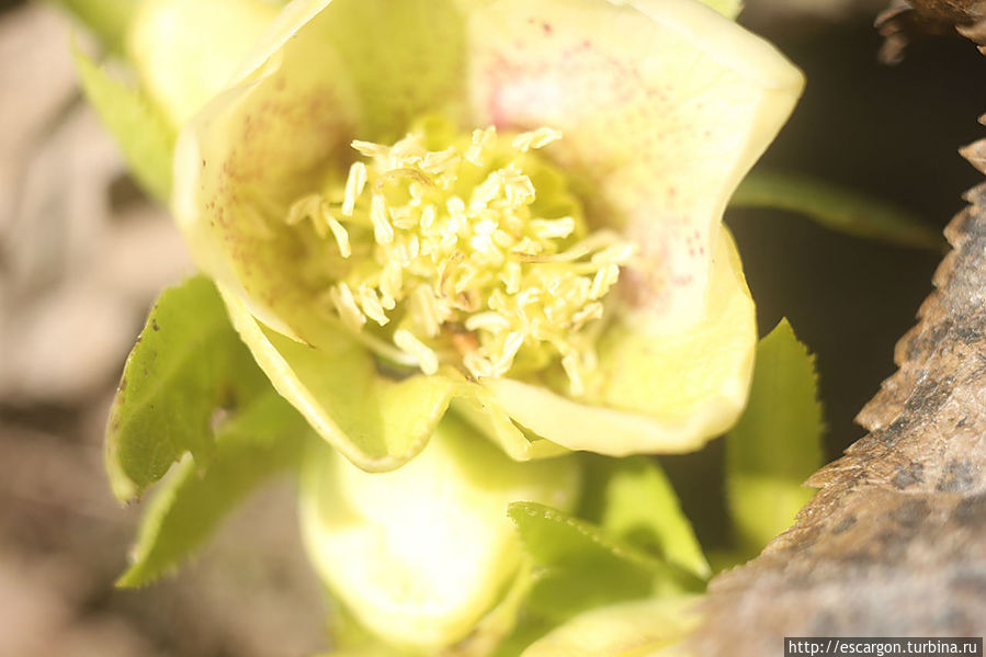 Краски апреля Беларусь