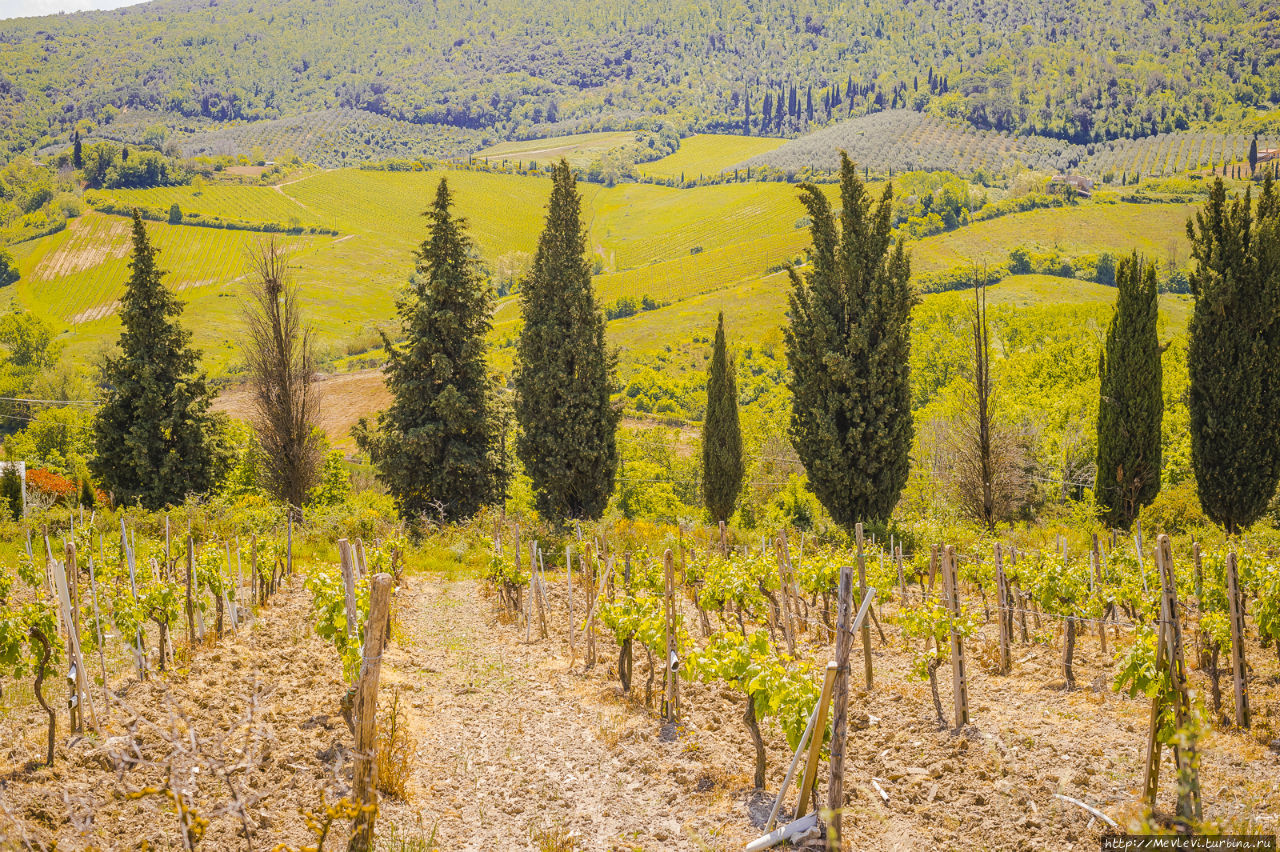 Окрестности San Gimignano Сан-Джиминьяно, Италия