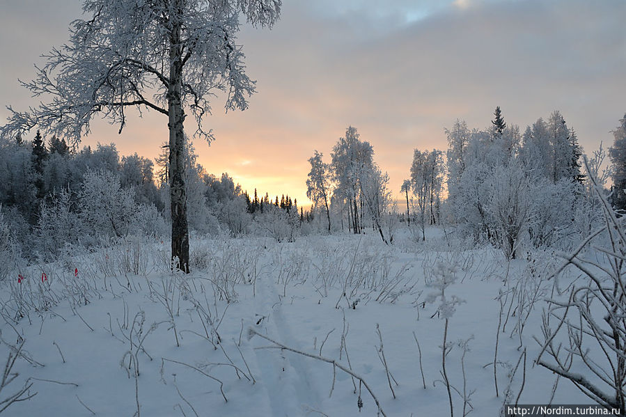 Дыхание чистой природы Усинск, Россия
