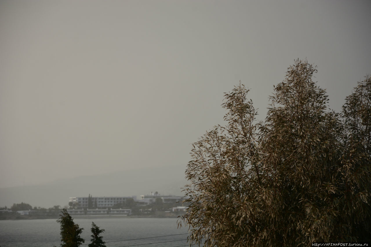 Все оттенки серого