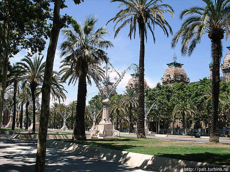 Ослепительное солнце. Пал