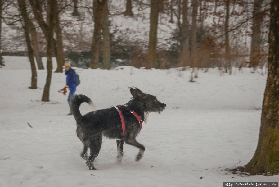 На берегу Изара Мюнхен, Германия