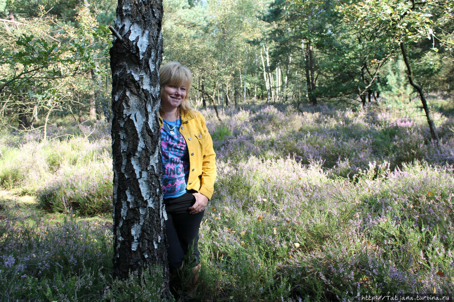 Началась грибная пора Маасмехелен, Бельгия