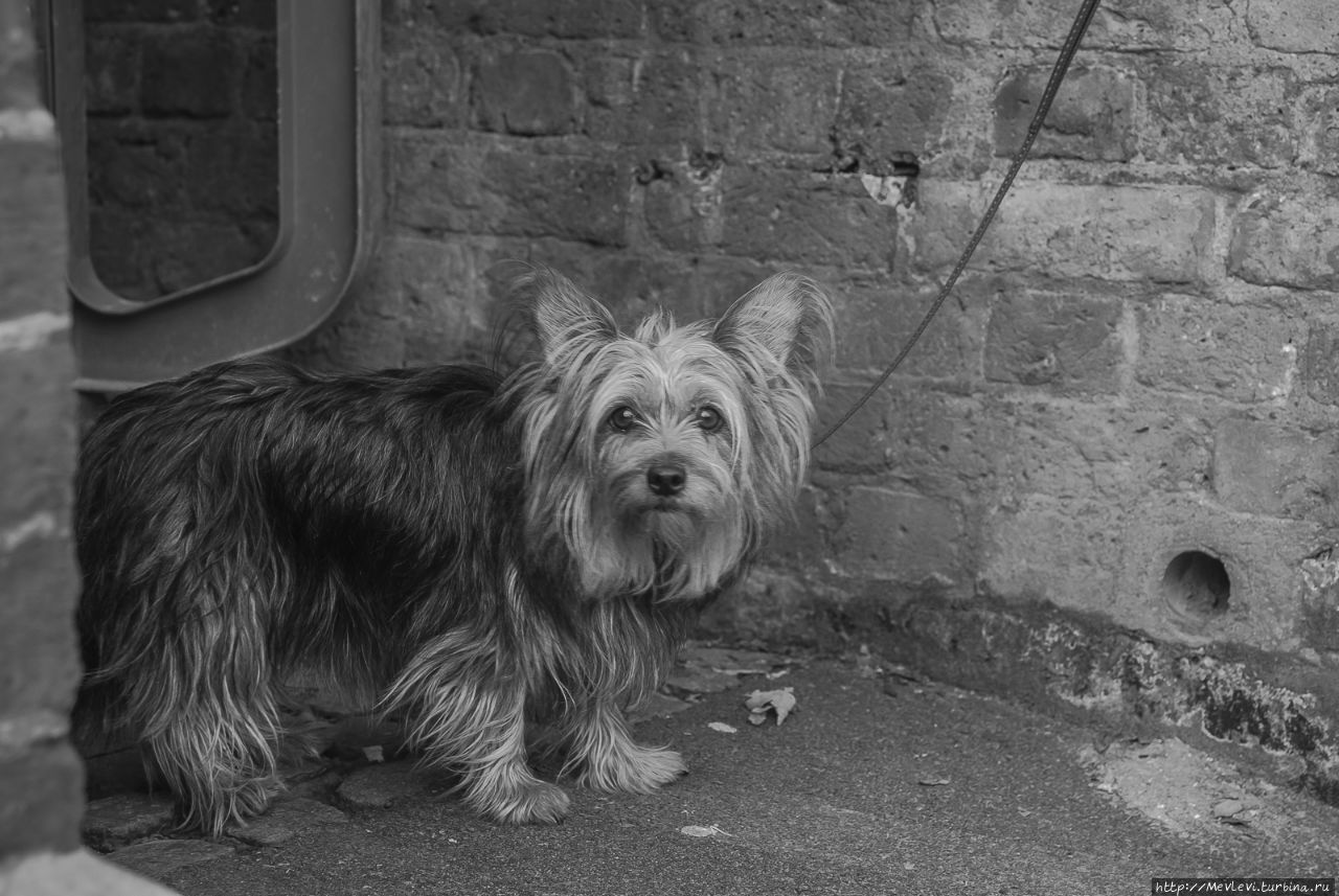 В центре Лондона Лондон, Великобритания