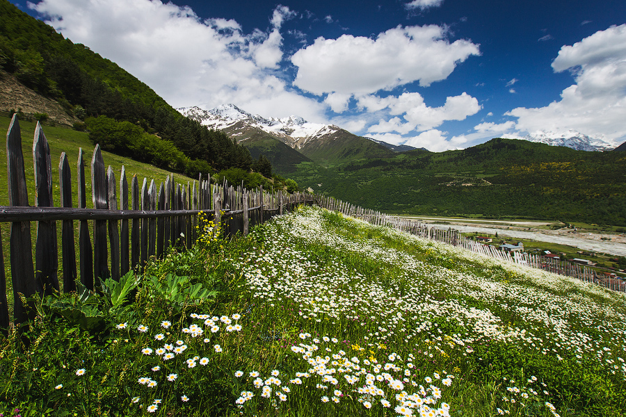 Начало подъема сопровождается цветением ромашек.. красота вокруг:)