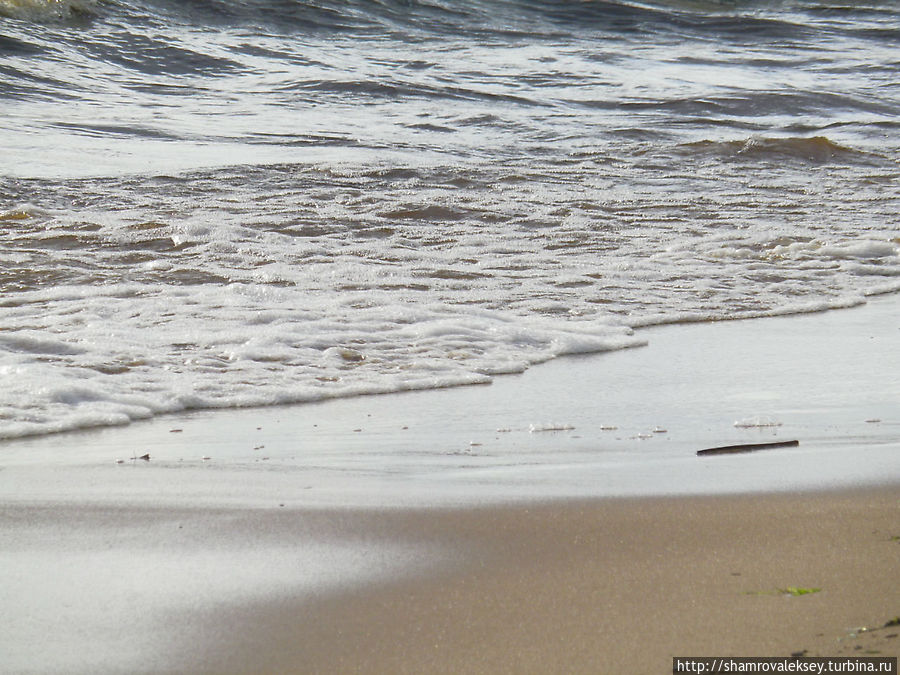 Вдоль берега моря Зеленогорск, Россия