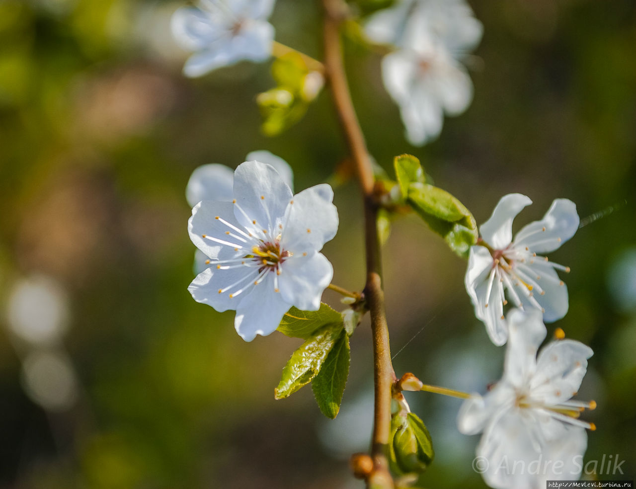 Daugavgrīvas Cietoksnis Рига, Латвия