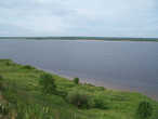 берег Северной Двины в районе села Хорьково (Лявля)