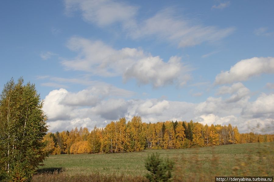 Золото дорог Пермский край, Россия