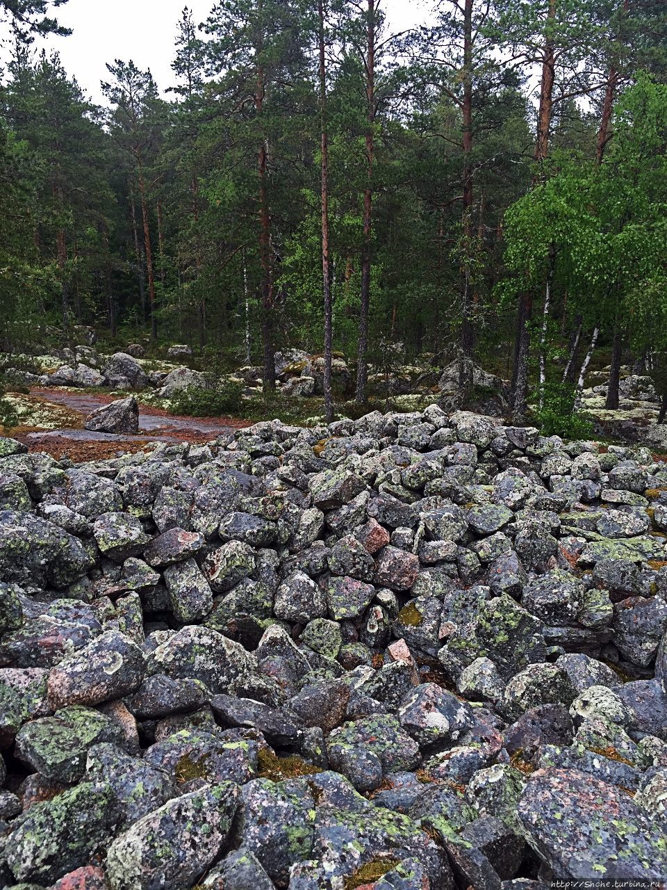 Погребальный комплекс Саммаллахденмяки Саммаллахденмяки (поселение бронзового века), Финляндия