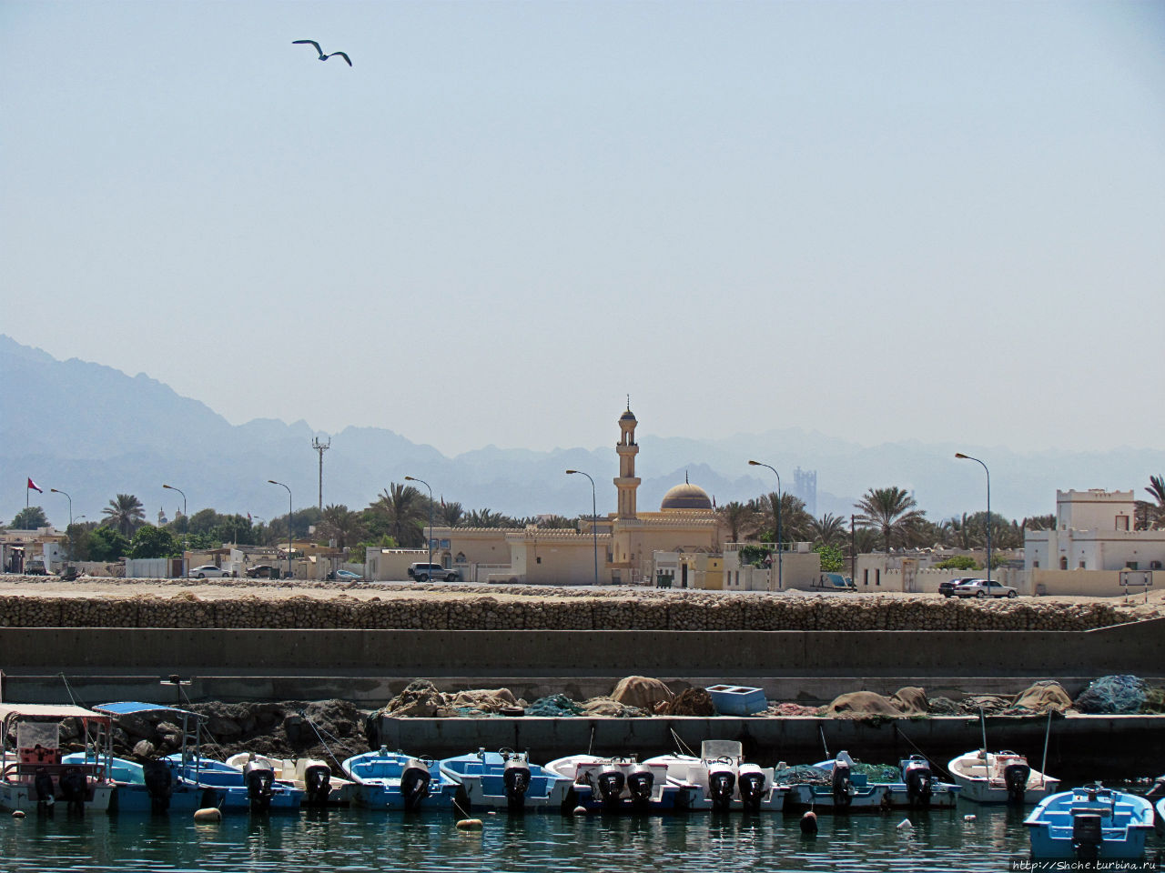 Оманская Дибба — самая маленькая, как по территории, так и по населению, по сравнению и ее эмиратскими одноименными сестрами Дибба-Аль-Байя, Оман