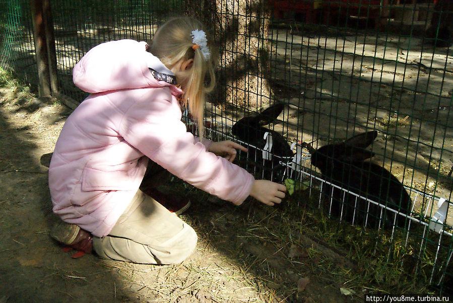 Поймайте мне кролика Нижегородская область, Россия