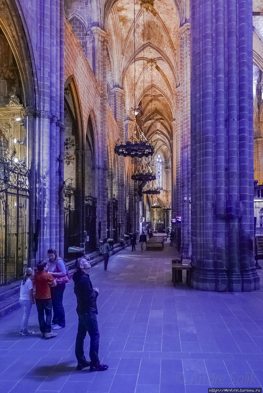 Кафедральный собор изнутри Барселона, Испания