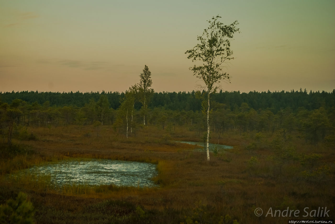 Рассвет . мостки через Кемерское луговое болото Юрмала, Латвия