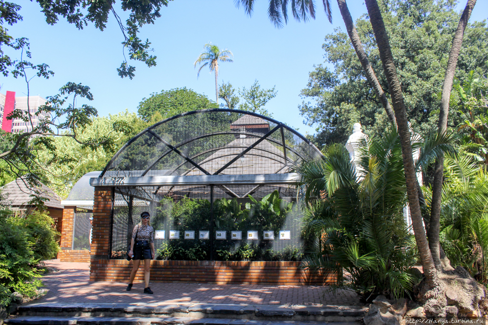 Из интернета Из интернета