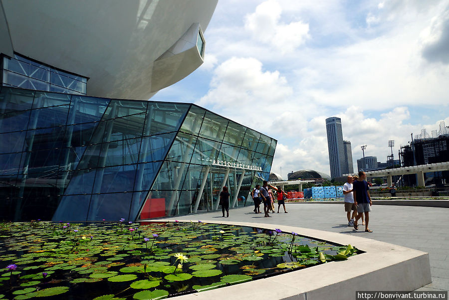 Музей в форме лотоса Сингапур (город-государство)