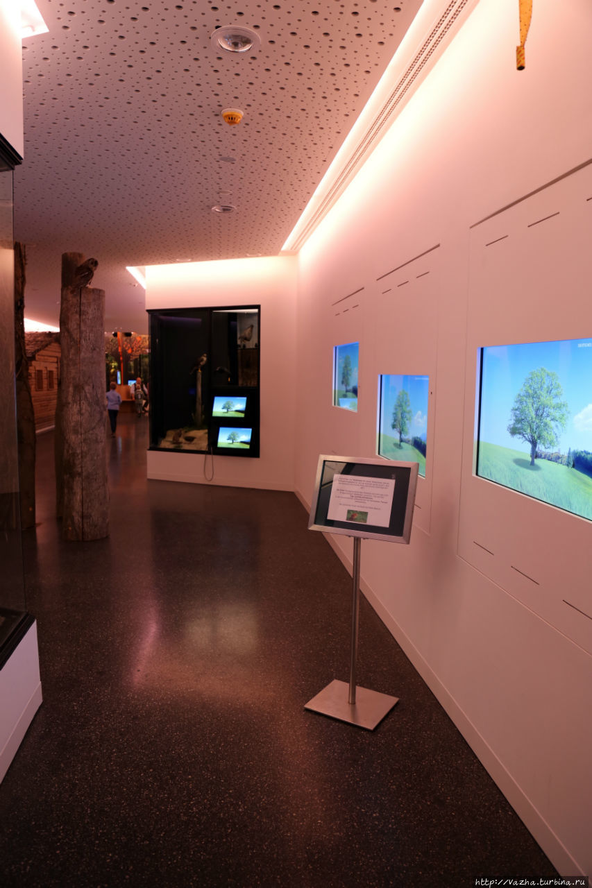 В музее показывается природа Баварии Мюнхен, Германия