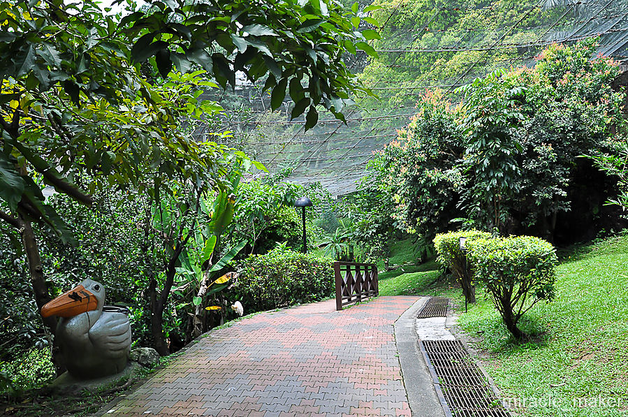 Для удобства посетителей по всему парку проложены удобные тропинки, оборудованы скамейки и места для отдыха. Куала-Лумпур, Малайзия