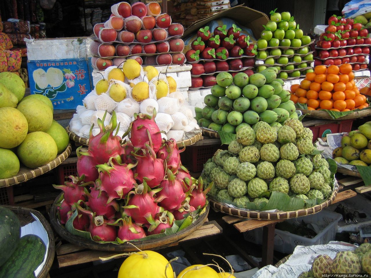 Продажа экзотических. Вьетнам Нячанг фрукты. Манго Вьетнам. Плантации манго Вьетнам. Вьетнамский рынок Нячанг.