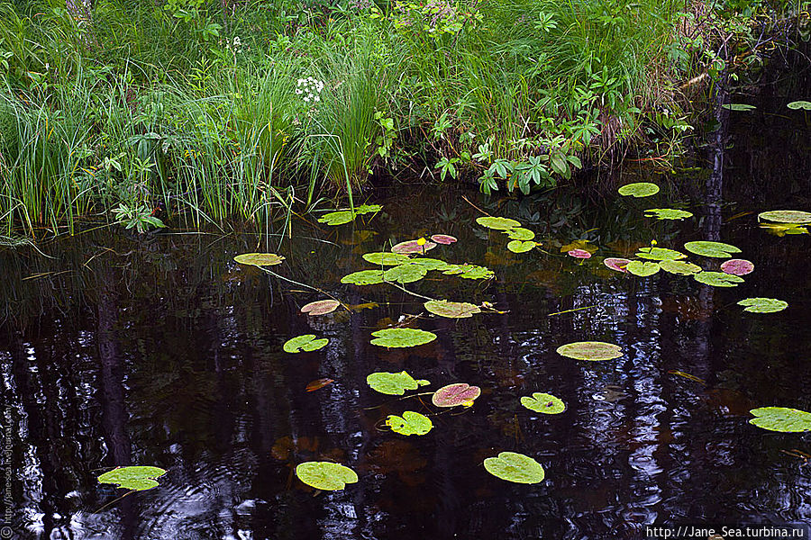 Охотничья заимка.