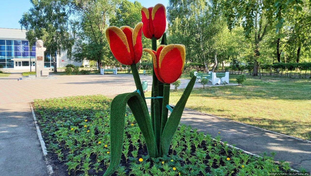 Такой букет тюльпанов на клумбе в центре поселка перед зданием ДК Самара, Россия