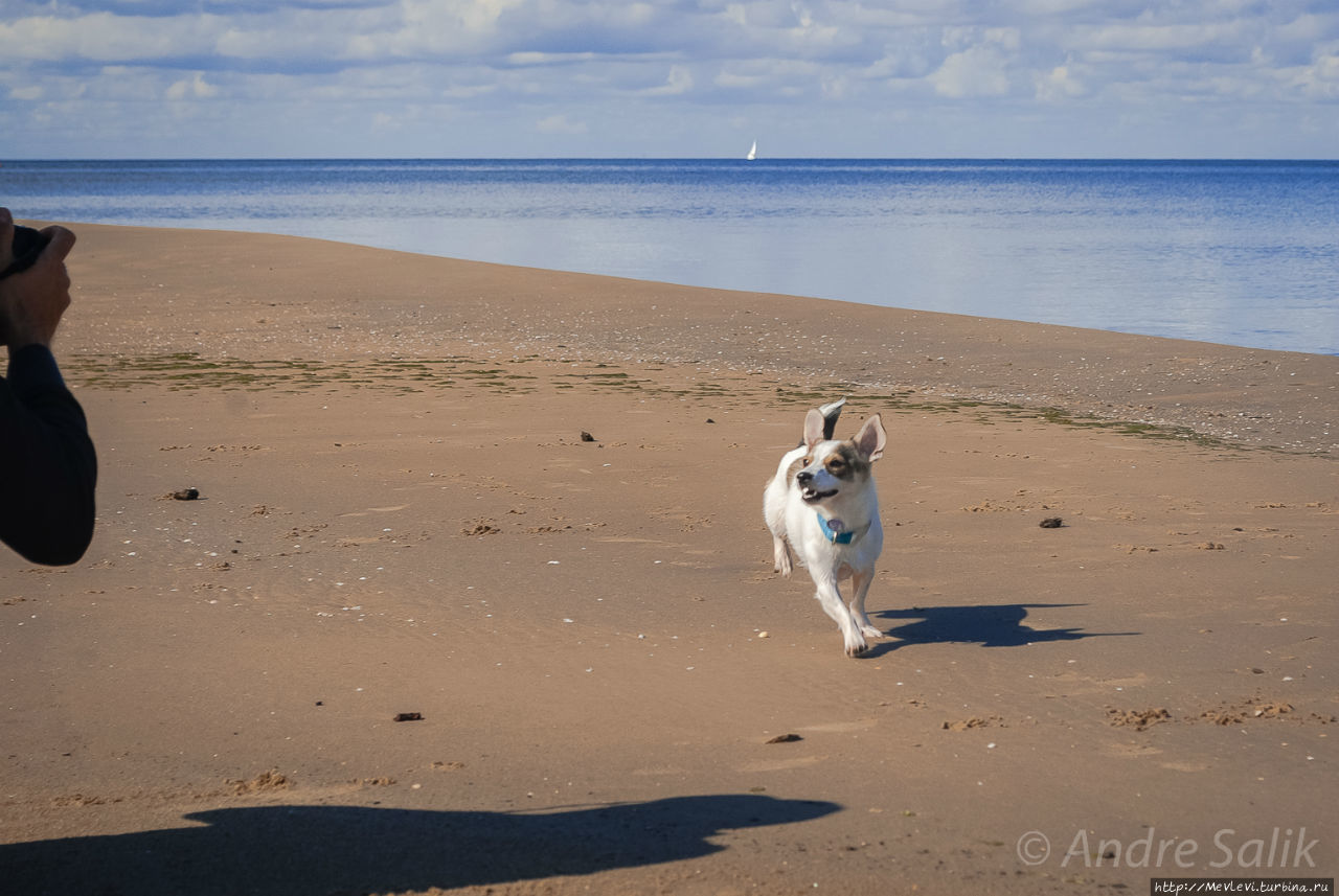 Природный парк Ragakāpa. Юрмала, Латвия