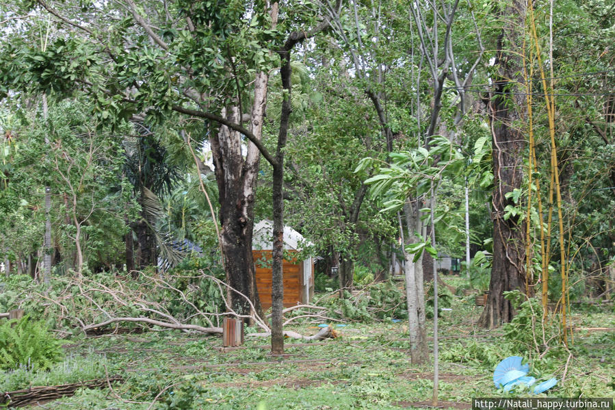 Последствия стихии Сен-Дени, Реюньон