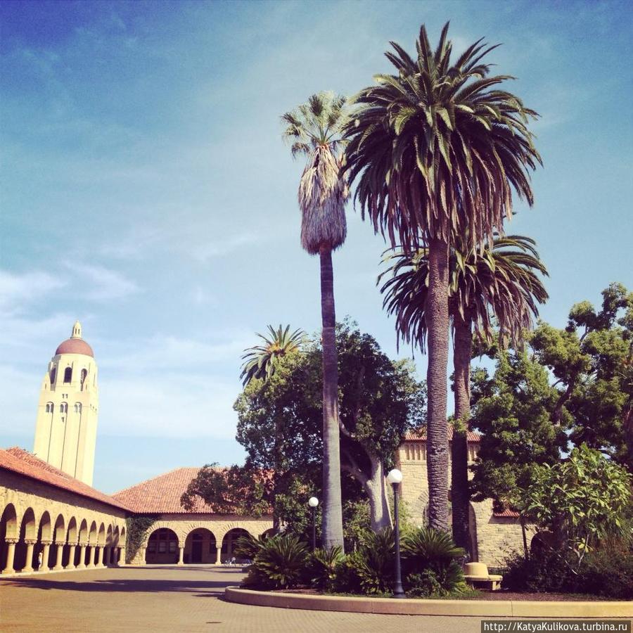 Stanford University. Больше чем на университет, Стэнфорд похож на турецкий отель. Сан-Франциско, CША