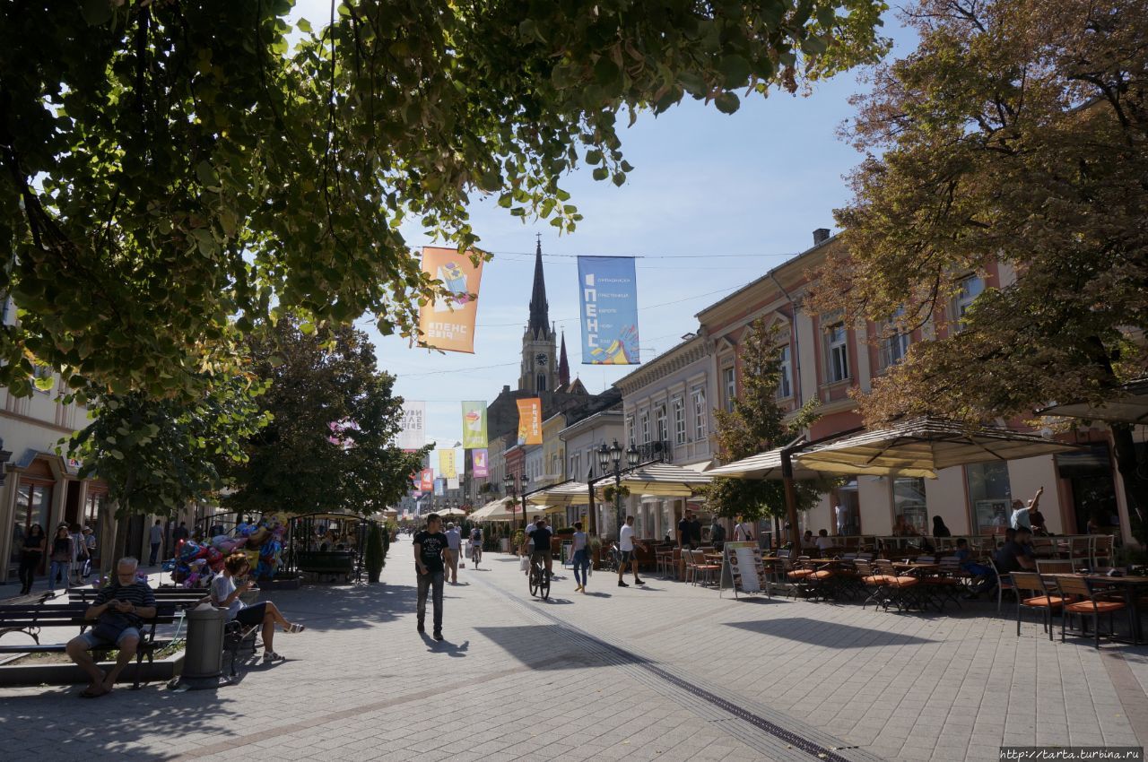 Прогулка, которая запомнилась Нови-Сад, Сербия