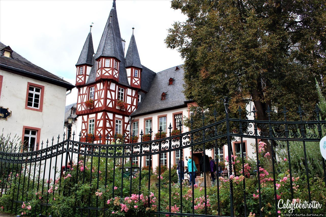 Фото из сети Рюдесхайм-на-Рейне, Германия