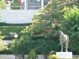 Лошадь-символ города. Раньше здесь разводили лошадей. 

(Фото Марины Беленькой)