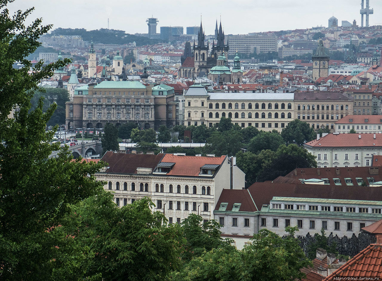 Прага, 3.06.2016 Прогулка новобрачных в Пражском Граде. Прага, Чехия