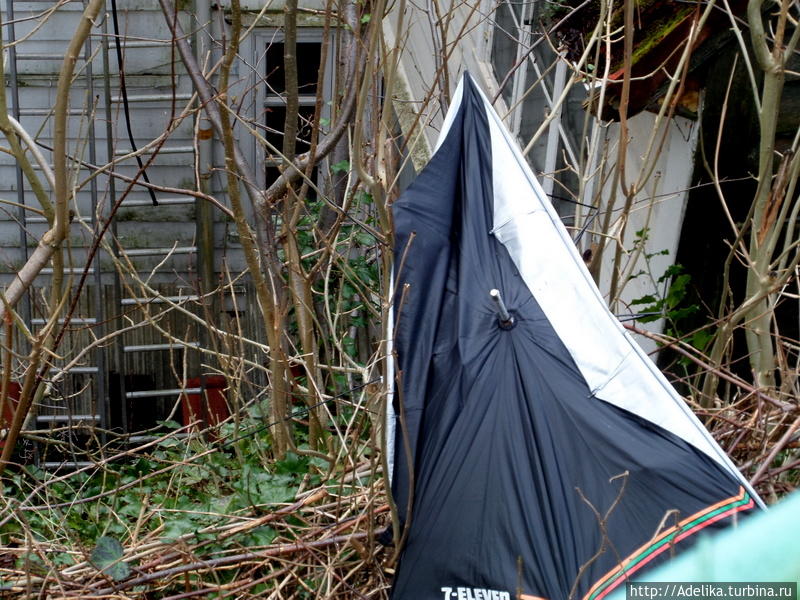 Зонты   в таком виде там везде! А еще зонт-символ города, так как дожди тут идут 300 дней в году Берген, Норвегия