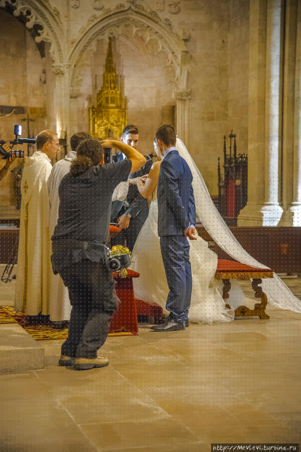 Внутри собора в Таррагоне Таррагона, Испания