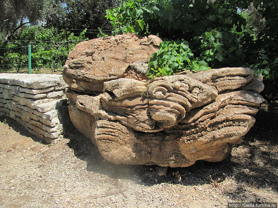 Сад камней в парке Яркон Тель-Авив, Израиль