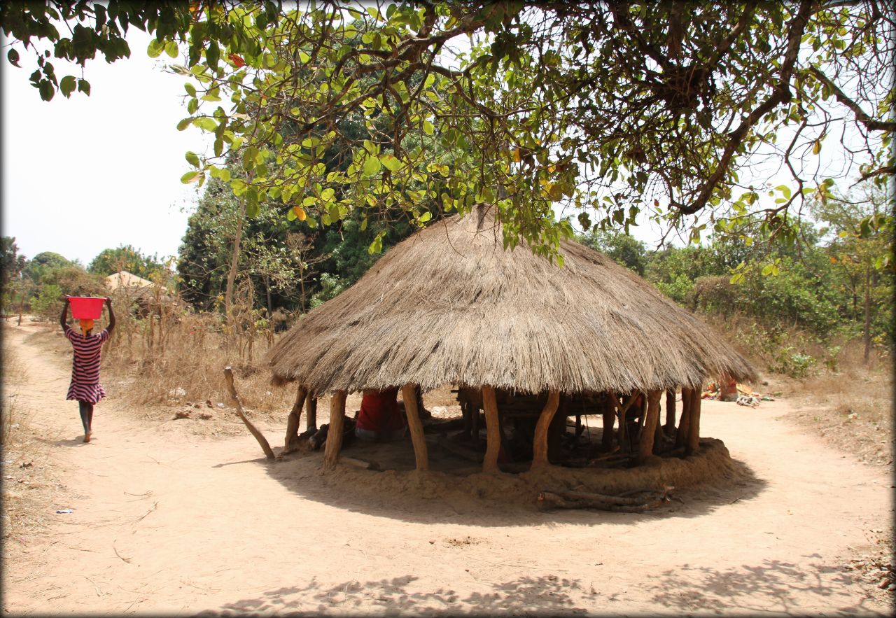 В гостях у гвинейского колдуна Округ Биомбо, Гвинея-Бисау